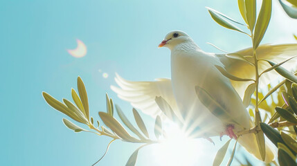 Wall Mural - White dove sits on olive tree. Sunny day, light blue sky backdrop. Peace concept. Generative AI