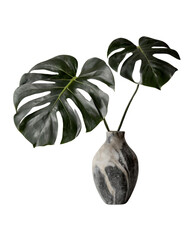 Wall Mural - Monstera in a vase marble, perfect for interior design on transparent background