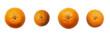  Set of a Akamatsu Orange is in the on a transparent background