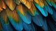 Close-up photograph of parrot's feathers. Feathers gradient of yellow to blue-green, have very detailed, intricate pattern.