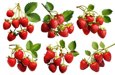 Wall Mural - Set of ripe strawberries, cut out