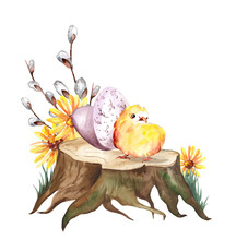 Chicken On A Tree Stump With Easter Eggs. Hand Drawn Spring Composition With Yellow Flowers And Bird. Decor For Cards And Packaging