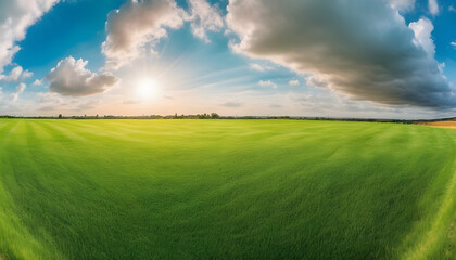 Green field of cut grass into and blue sky beautiful natural scenic panorama 4