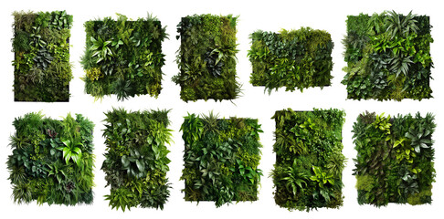 Wall Mural - Set of green garden walls from tropical plants, cut out