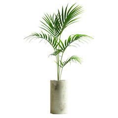 Wall Mural - palm leaves