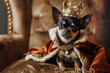 a black and brown Chihuahua dog dressed in a royal, on a plush velvet cushion