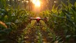 Aerial Drone Monitoring for Precision Agriculture and Pest Control in Rural Farmland Landscapes