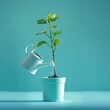 A watering can pouring onto a money tree