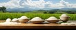 Set against the backdrop of a tranquil, grassy field, a bowl of rice exudes an aura of calmness and simplicity, harmonizing with the serenity of the surroundings.
