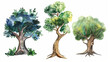 Coleção de árvores verdes em aquarela no fundo branco - Ilustração