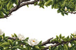 border fame made of flowers, branch and leaves pattern with blank text space isolated on transparent background