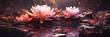 Beautiful pink and purple lotuses on the water on a dark night shining background. Pink water lilies. Spa and relaxation banner with place for text.