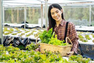 Portrait of young Asian woman farmer holding basket of green oak looking at camera and smile in hydroponics vegetable farm in morning. Agriculture organic for health, Vegan food, Agriculture business