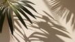 Blurred shade of palm leaves on a light cream wall to showcase the product.