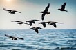 seaside avian birds that fly above the sea.
