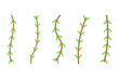 Flower vine icon set. Botanical decoration vector