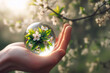 Cherry blossoms in spring through a crystal ball