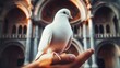 A white dove perches on an outstretched hand in front of an ornate, old building.