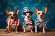 Cute doggies wear festive clothes in american flag color