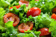 Close-up of juicy tomato salad