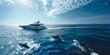 Yacht guests excitedly watch dolphins swim alongside the boat as the captain announces a stop. Concept Travel, Yachting, Wildlife, Ocean Adventure, Luxury Experience
