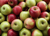 Fototapeta Kuchnia - A close-up shot of a collection of fresh, recently harvested green and red apples.