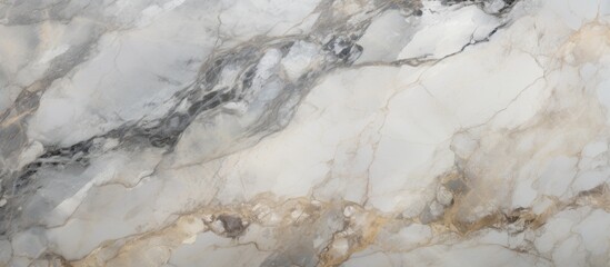 Canvas Print - A close up of a bedrock marble counter top featuring a gray and white marble texture resembling a frozen landscape of swirling liquid rock and water in the soil