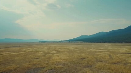 Poster -  A vast, cloud-dotted sky graces a field of trees and distant mountains