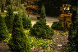 Fototapeta Tulipany - Arboretum w Kórniku, tablica informacyjna
