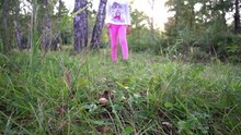 Girl Picking Mushrooms, Mushrooms In The Forest, Blonde, Child Walks Through The Forest And Looks For Mushrooms
