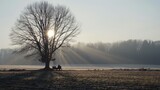 Fototapeta Sawanna -  Two people sitting on a bench, sun shining through trees, water in the distance
