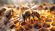 Close up Bees and honeycomb macro. Generative AI