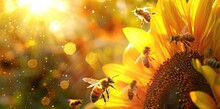 Close-up Of A Bee Collecting Honey From A Blooming Yellow Sunflower. Preparation Of Natural Honey. Sunflower And Bee As A Symbol Of Summer, Health. AI Generated Illustration