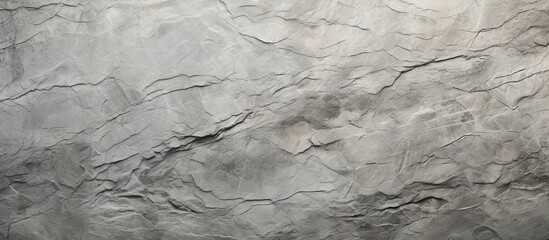 Poster - A detailed view of a monochrome gray marble texture, showcasing the intricate pattern and natural material of this rock formation, perfect for flooring or event backdrops
