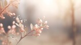 Fototapeta Natura - Beautiful floral background with blooming roses and eucalyptus, soft peach colors, white backdrop, banner for design, closeup, blurred foreground 