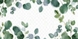 © mah - Watercolor banner with green eucalyptus leaves and branches on transparent. Spring or summer flowers for invitation, wedding or greeting cards