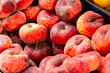 Fresh Flat Peaches on Display in Treviso Market