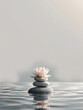 zen stones and lotus flower