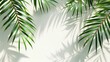 Shadow of tropical leaves on white background. Mockup with shadow of palm leaves on white background. Modern illustration.