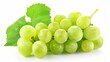 Grapes with leaves in a fresh green state. Isolated on a white background