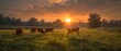The rising sun illuminates a field of grazing cattle.