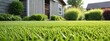 Green lawn against the backdrop of a barn with garden supplies. Green lawn against the backdrop of a house on a sunny day. Background for gardening with copy space.