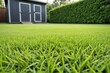 Green lawn against the backdrop of a barn with garden supplies. Green lawn against the backdrop of a house on a sunny day. Background for gardening with copy space.