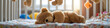 Dreamy Slumber: Bear Plush Toy Resting in Baby Crib -  Wide Framing