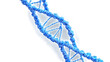 dna strand isolated on transparent background