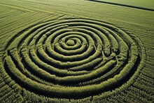 Aerial View Of Geometric Crop Circles In A Cornfield From A UFO.