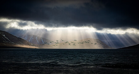 Westfjords