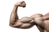Fototapeta Sport - Muscular Portrait: Strong, with Powerful Arms