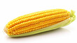 corn on the cob  high definition(hd) photographic creative image
