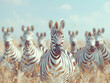 A group of zebras, seemingly headless, stand in a field, creating a scene of symmetrical chaos in light white and bronze hues.